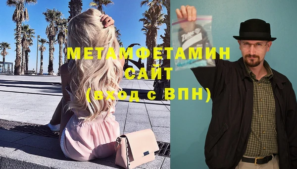 индика Кинешма