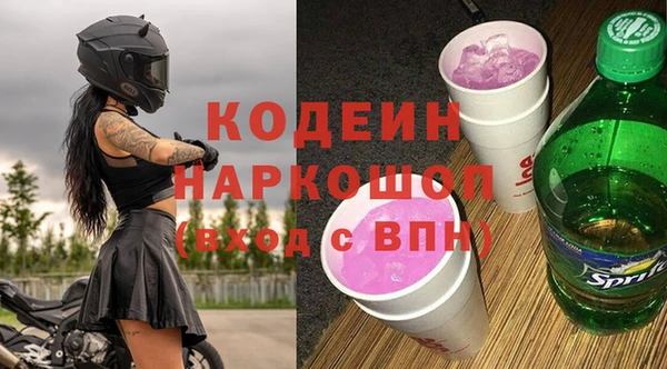 индика Кинешма