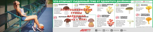 герыч Вуктыл