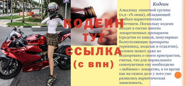 индика Кинешма