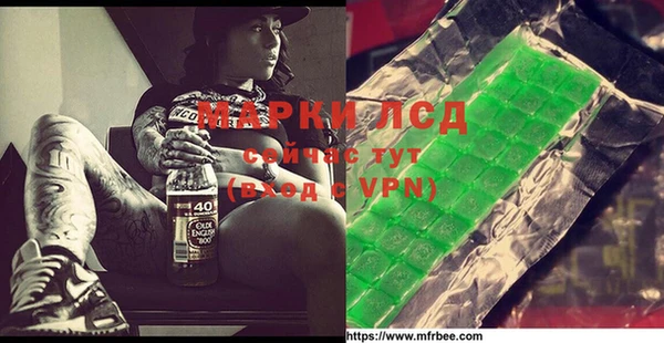 гашик Корсаков