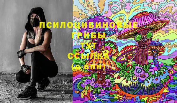 гашик Корсаков