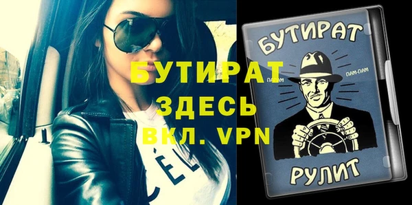 индика Кинешма