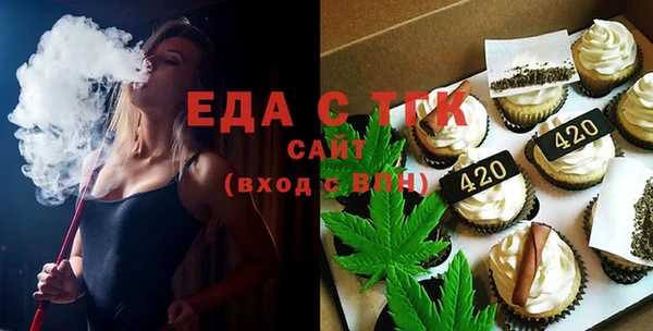 индика Кинешма