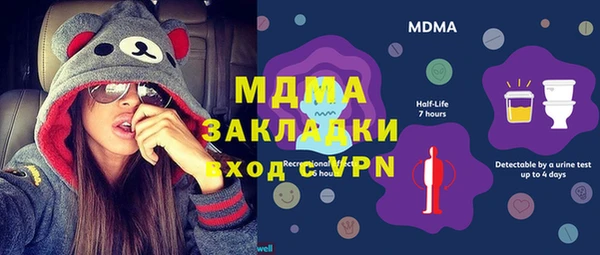 индика Кинешма