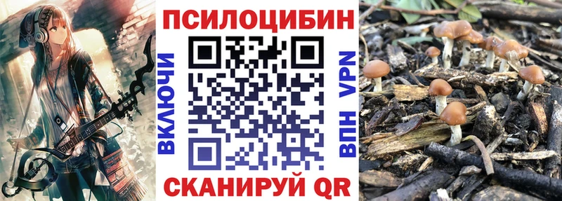 Псилоцибиновые грибы Psilocybine cubensis  Ковдор 